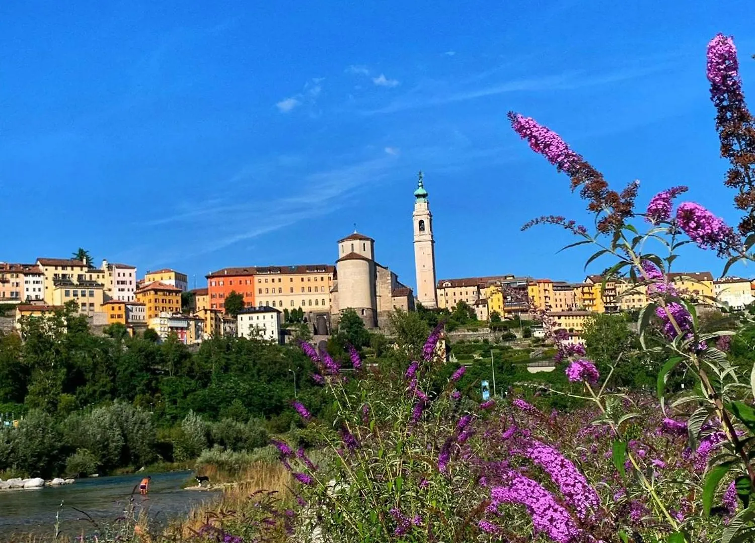B&B Col De Le Mole - Dolomiti Bellunesi Belluno Bed & Breakfast